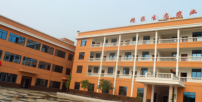 b3d8ccd575ab6653 广西优发国际农业科技集团有限责任公司